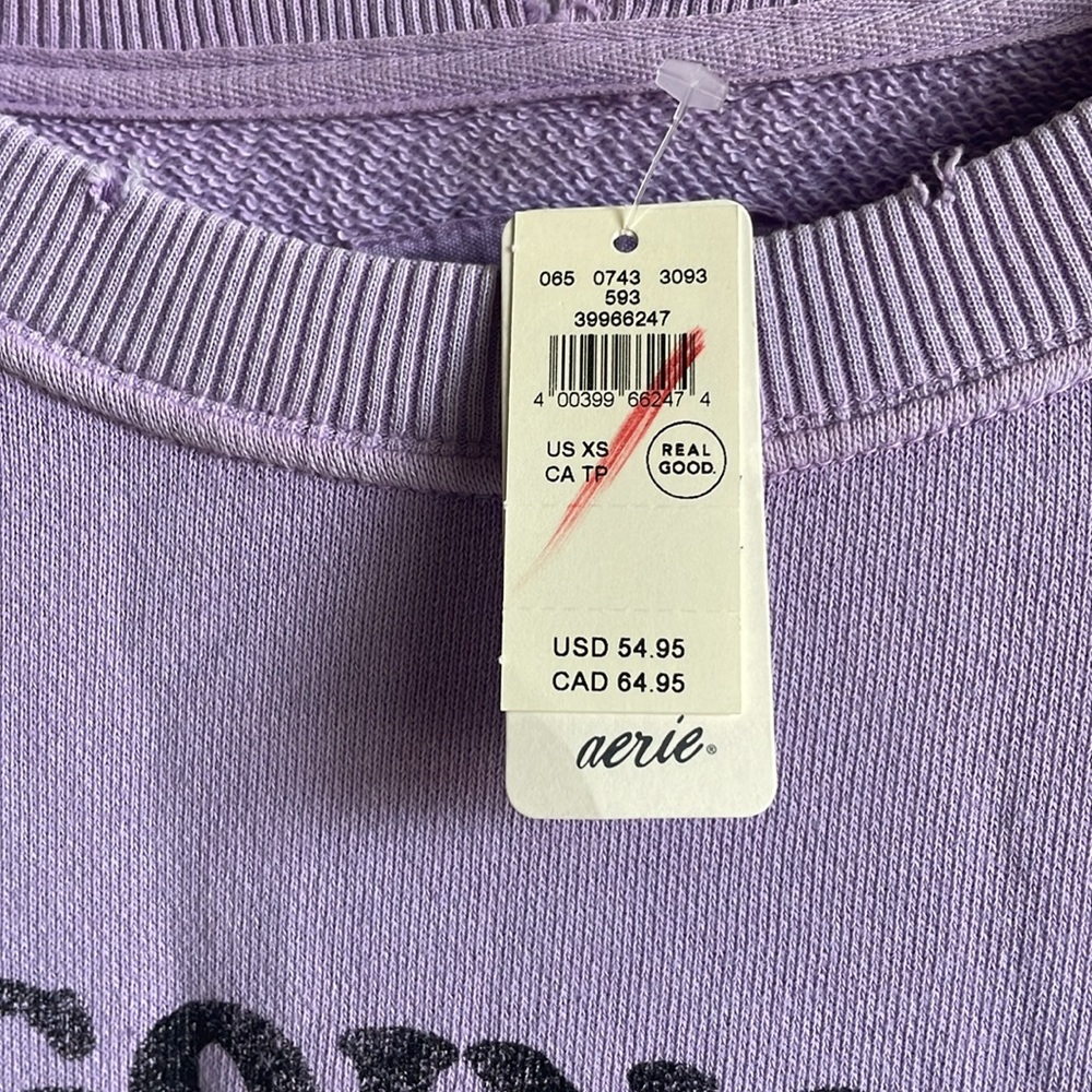 NWT AERIE THE CHILL CREW Going off the Rails Sweatshirt XS - Picture 5 of 5